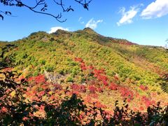 -龙道沟景区