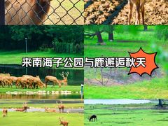 -南海子公园
