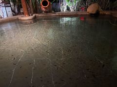 -水底山庄园温泉