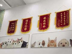 -爱侣宠医·鹦鹉专科·小型哺乳类·异宠专科(灵石路店)