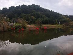-福州大学(旗山校区)