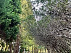 -苏州河梦清园环保主题公园