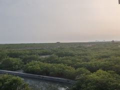 -北海金海湾红树林生态旅游区