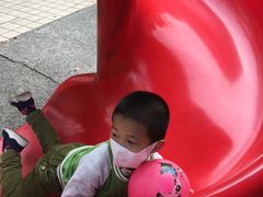 -新江湾城公园