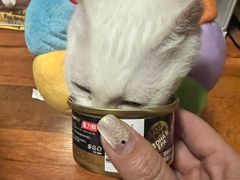 -御宝贝·A梦猫科宠物医院(国际猫友好医院)