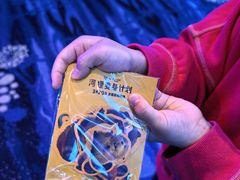 -飞扬影城(正佳IMAX店)