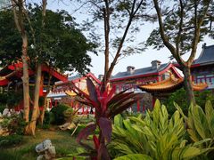-海花岛旅游度假区