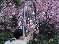 -南山植物园