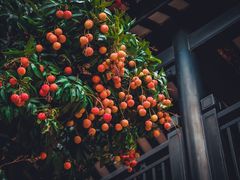 -粤剧艺术博物馆