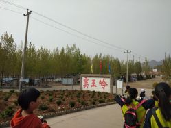 -窦王岭景区游乐场