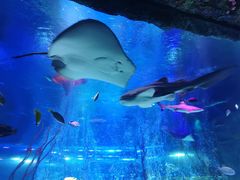 -沈阳海洋探索中心