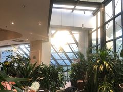 大堂-大树餐厅(红旗街万达店)