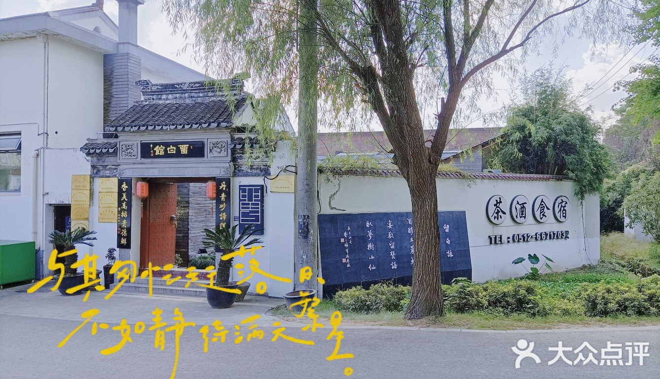 树山村美食探秘之旅