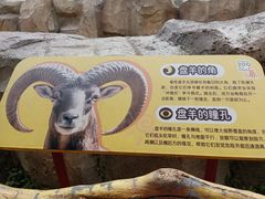 -武汉动物园