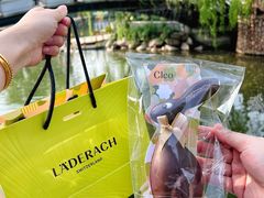 -Laderach 莱德拉(上海环贸iapm店)