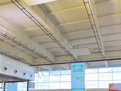 -卡塔尼亚-丰塔纳罗沙机场