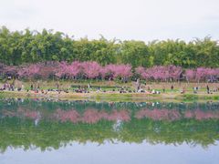 -望江楼公园