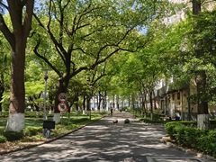 -上海大学(嘉定校区)