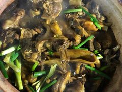 -霞姐屯昌枫木香草鸭店(海螺店)