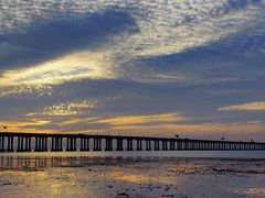 -宝安西湾红树林湿地公园