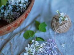 -山东大学(兴隆山校区)