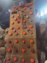 -卡通尼·Safari非洲探索乐园·生日会(金桥国际商业广场店)