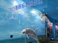 -厦门海底世界