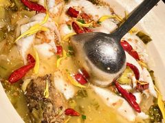 -酸渡·老坛酸菜鱼·现炒下饭菜(港惠新天地店)