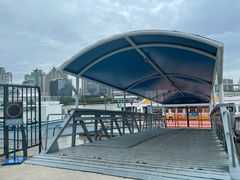 -摆渡站(董家渡站)