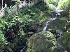 -重庆海昌加勒比海水世界