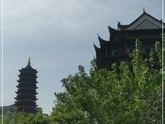 -长兴太湖图影湿地文化园