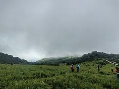 -白草畔自然风景区