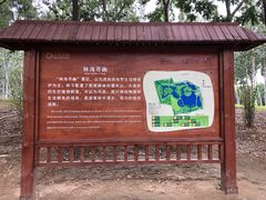 -大兴滨河森林公园