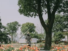 -鹅湖玫瑰文化园