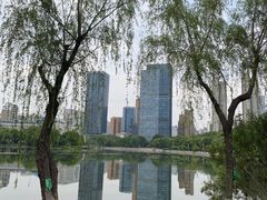-后襄河公园