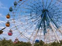 -巨鹏飞梦幻海岸