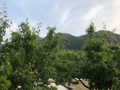 -俺家菜馆(百里峡店)