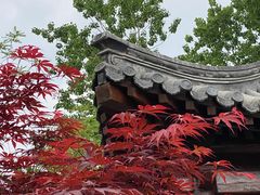 -莲花池公园