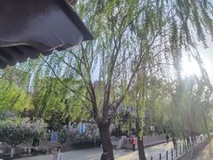 -元大都城垣遗址公园