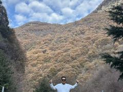 -少华山国家森林公园