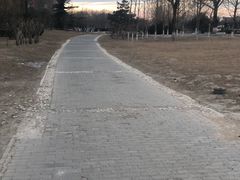 -仰生如卉推拿养生馆(酒仙桥店)