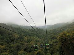 -野象谷景区