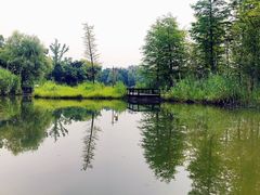 -梁鸿国家湿地公园