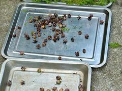 -东天目山风景区