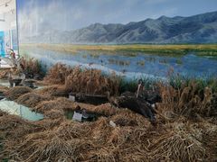 -延庆地质公园博物馆