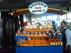 -彩虹云霄拜约克摩天塔