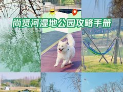 -尚贤河湿地