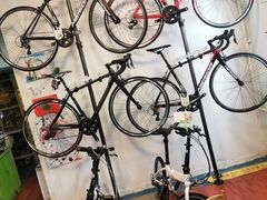 -美利达自行车(天通西苑一区店)