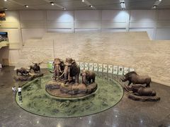 -大庆市博物馆
