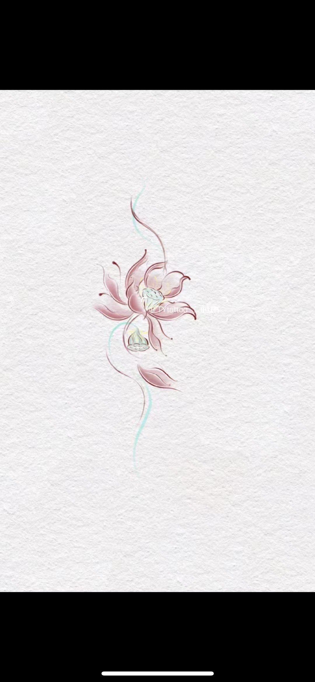 荷花03纹身手稿